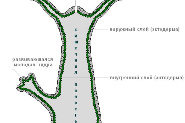 Кракен ат сайт