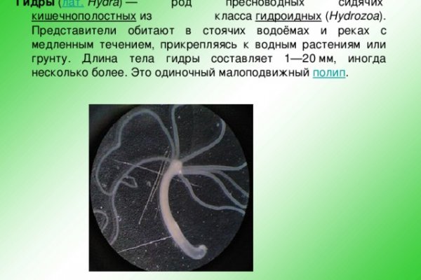 Ссылка кракен официальная тор