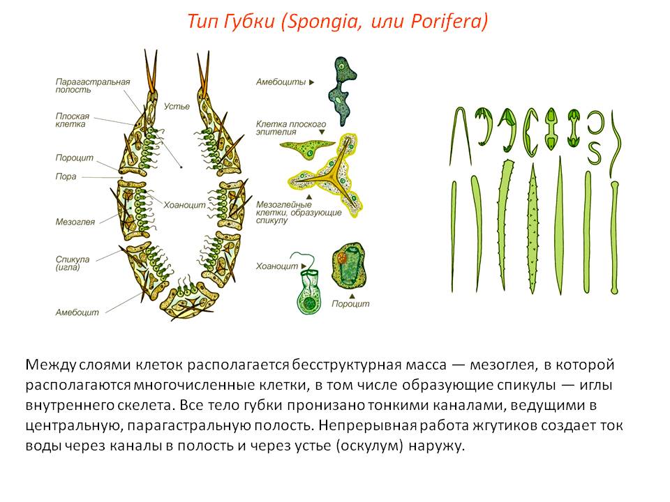 Почему кракен не блокируют