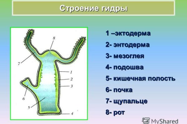 Не приходят деньги на кракен