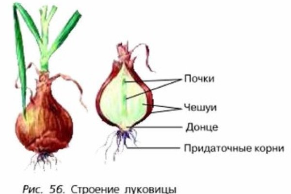 Darknet ссылки